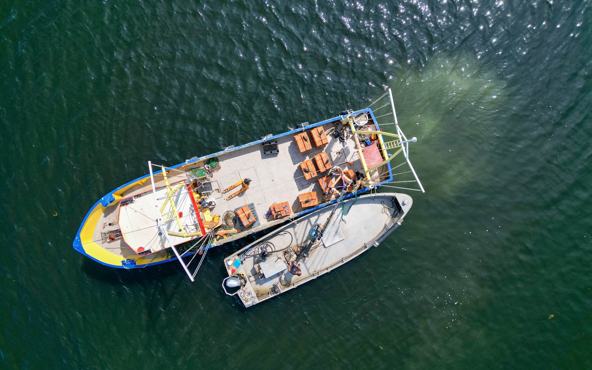 Rebalance Earth fund invests in reef restorer Oyster Heaven