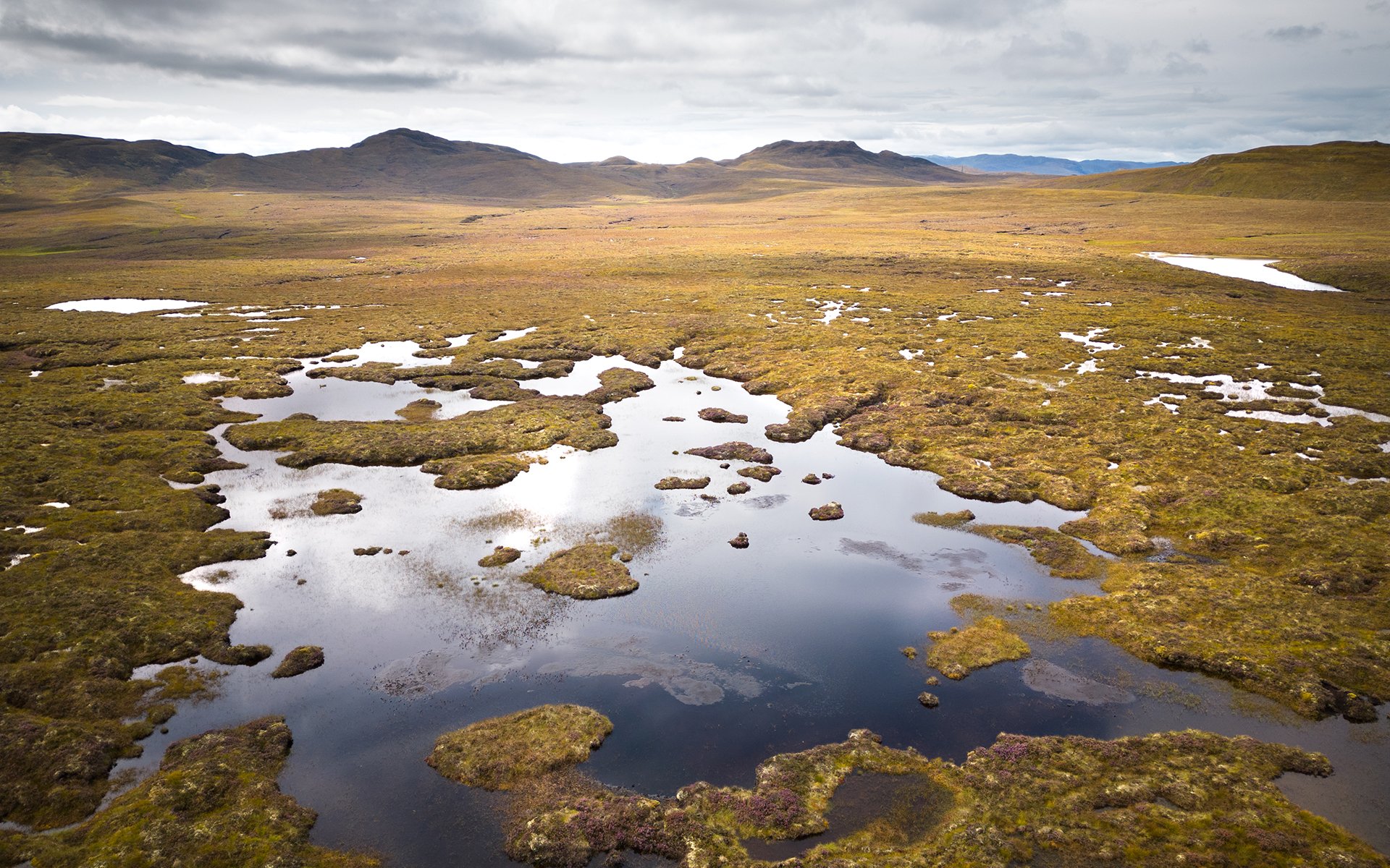 Rebalance Earth grows nature-as-infrastructure network with Wilderway investment