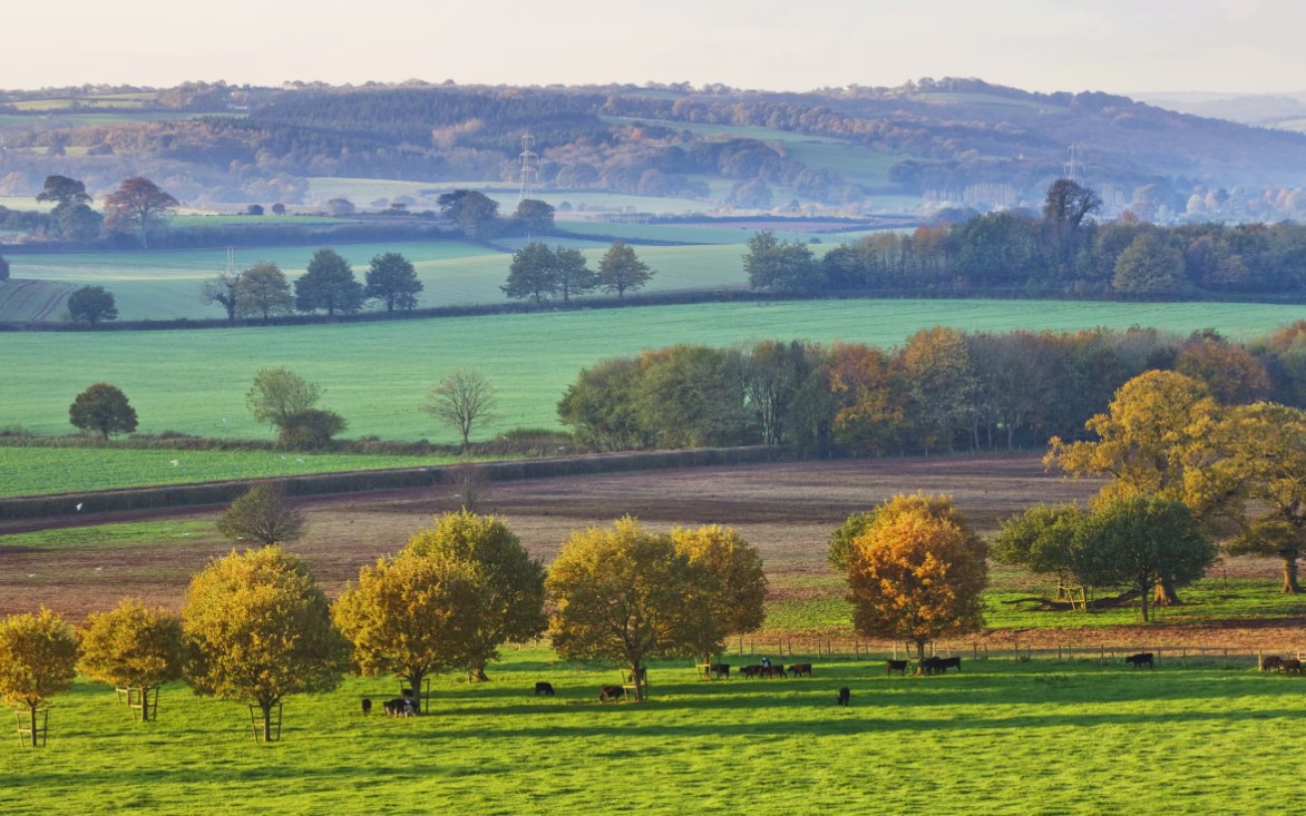 Rebalance Earth and Restore announce strategic partnership to accelerate nature restoration in the UK