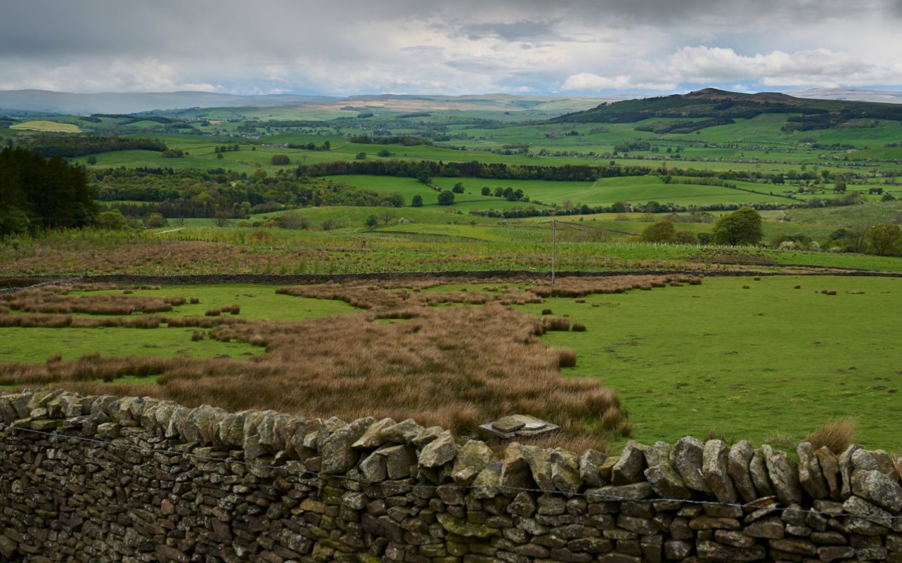 Why an investment fund is rewilding a North Yorkshire estate